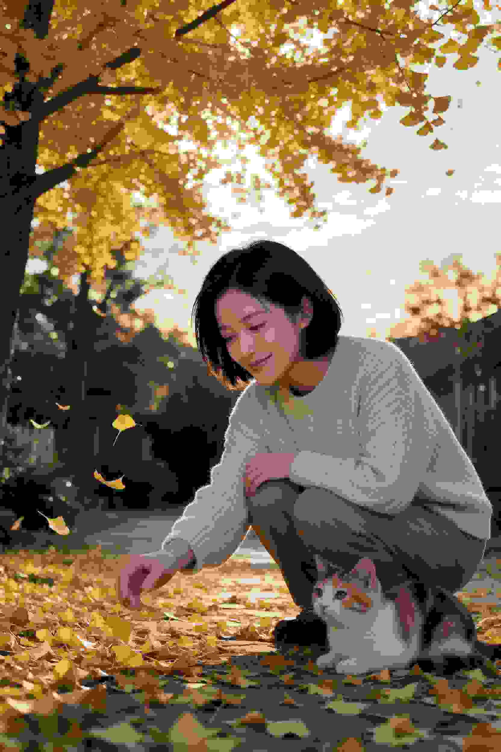 众星捧月